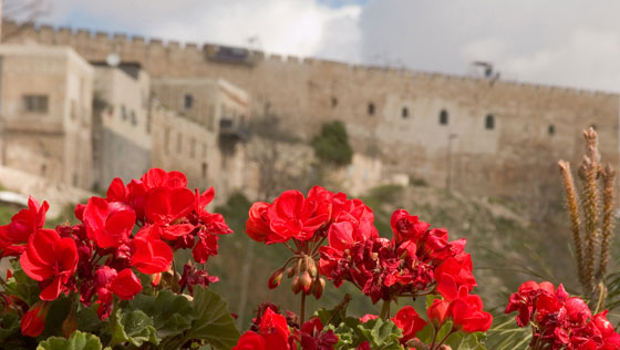 The City of David Jerusalem Annual Archaeological Conference